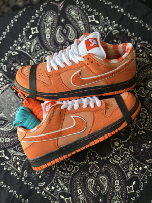 Dunk SB Orange Lobster